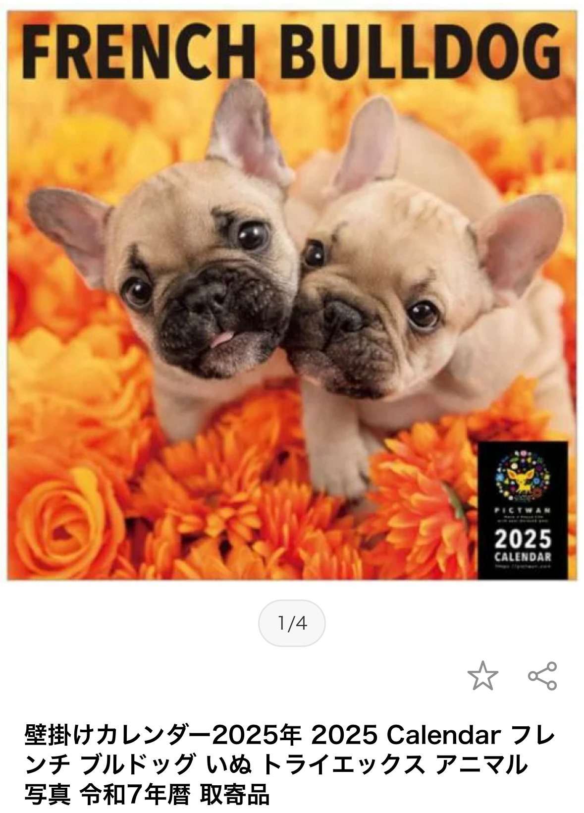 2025年カレンダー掲載 フレンチブルドッグ | お知らせ | 茨城県の